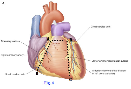 Fig 8-4